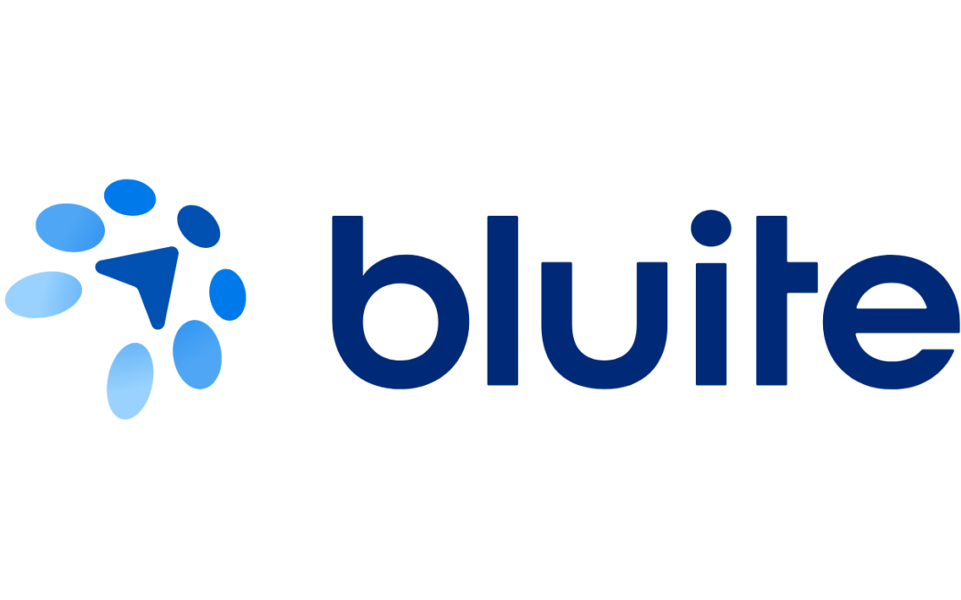 Bluite