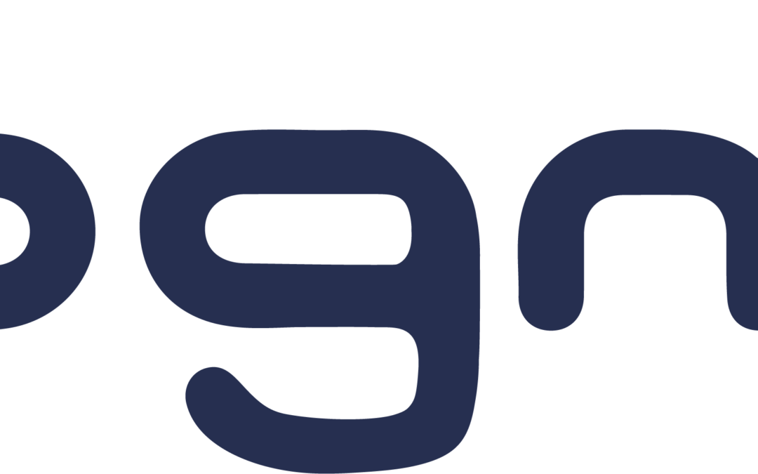 SGM Tecnología en internet