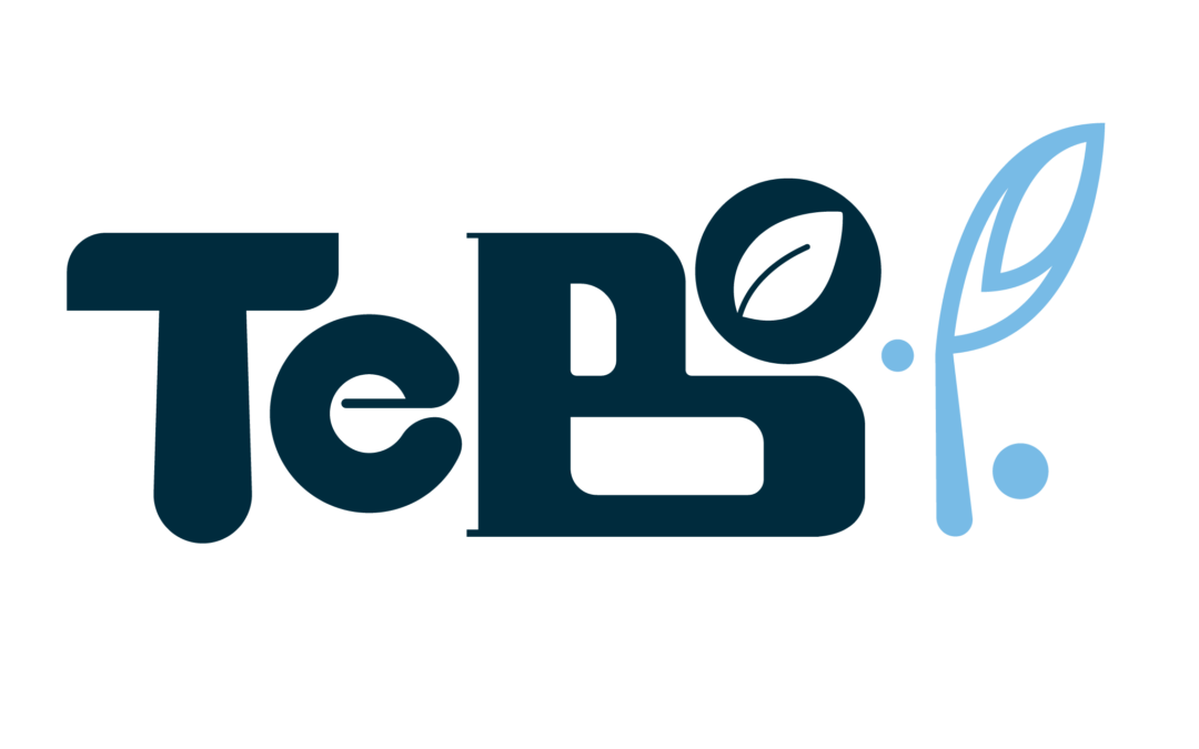 TeBo