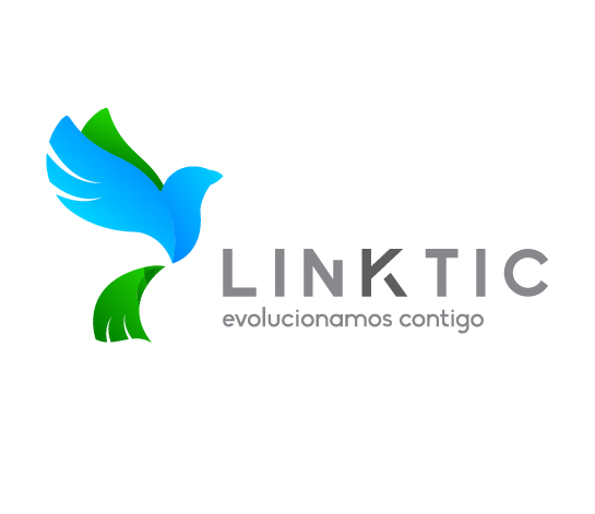 LinkTIC SAS